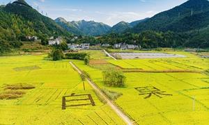 下村坝村：和美乡村舒画卷