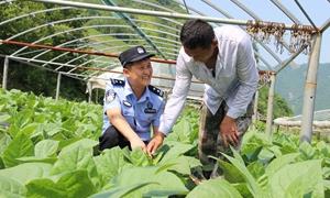 普法宣传进田间