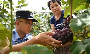 开启“果园警务” 助农大丰收